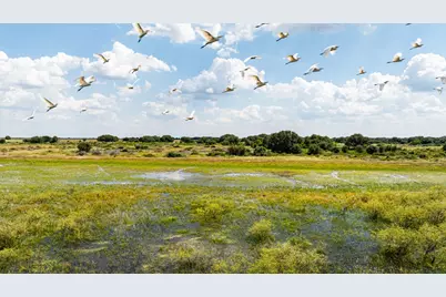 Tbd Cr 106, Rock Island, TX 77470 - Photo 3