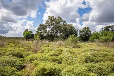 000 Fm 766, Cuero, TX 77954 - Photo 21