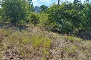 128 Mokalau Dr, Bastrop, TX 78602 - Photo 1