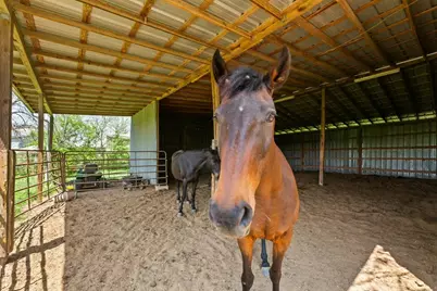 13484 Avis Road, Dale, TX 78616 - Photo 7