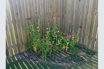 202 Big Sandy Creek Drive, Hutto, TX 78634 - Photo 39