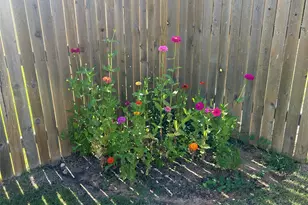 202 Big Sandy Creek Dr, Hutto, TX 78634 - Photo 39