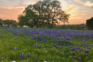 280 Sunset Terrace, Cedar Park, TX 78613 - Photo 35
