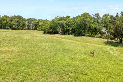 1128 Posey Ranch Road, Fischer, TX 78623 - Photo 39