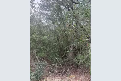 123 Mokuleia Circle, Bastrop, TX 78602 - Photo 3
