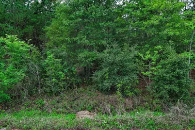 453 Kelley Road, Bastrop, TX 78602 - Photo 15