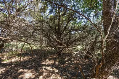 704 Palos Verdes Drive, Lakeway, TX 78734 - Photo 19