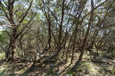 704 Palos Verdes Drive, Lakeway, TX 78734 - Photo 17