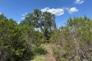 Lot 22 Rifle Ridge, Burnet, TX 78611 - Photo 7