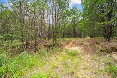 242 Cody Lane, Bastrop, TX 78602 - Photo 35