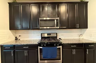 17220 Borromeo Ave, Pflugerville, TX 78660 - Photo 17