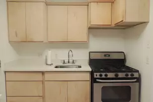 1307 Deloney St, Austin, TX 78721 - Photo 27