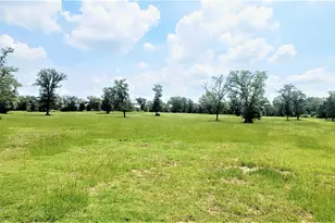 3321 Co Rd 457, Thorndale, TX 76577 - Photo 15