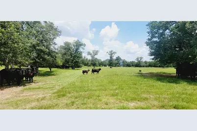 3321 County Road 457, Thorndale, TX 76577 - Photo 1