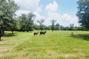 3321 Co Rd 457, Thorndale, TX 76577 - Photo 1