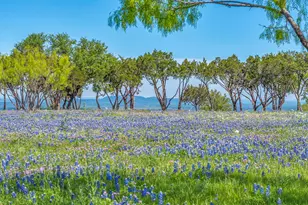 3531 Rm-3347 - Lot 16, Round Mountain, TX 78663 - Photo 13