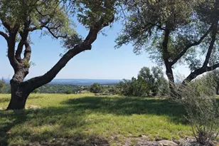 3531 Rm-3347 - Lot 16, Round Mountain, TX 78663 - Photo 9
