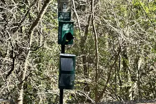 6000 Shepherd Mountain Cove, Austin, TX 78730 - Photo 17