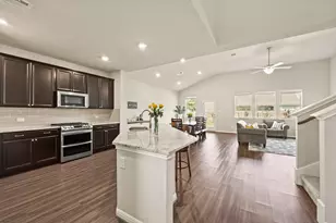 17320 Borromeo Ave, Pflugerville, TX 78660 - Photo 5