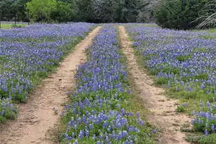 9939 Co Rd 404, Spicewood, TX 78669 - Photo 15