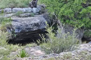 9939 Co Rd 404, Spicewood, TX 78669 - Photo 3