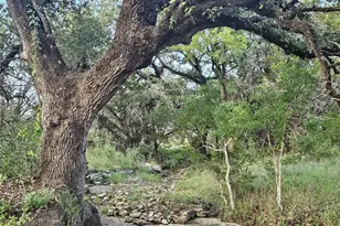 9939 Co Rd 404, Spicewood, TX 78669 - Photo 7