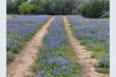 9939 County Road 404, Spicewood, TX 78669 - Photo 15