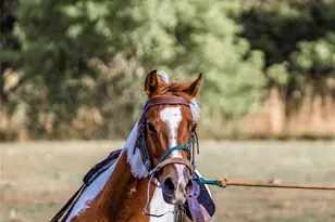 9939 Co Rd 404, Spicewood, TX 78669 - Photo 9