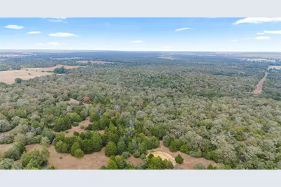 Tbd County Road #415, Lexington, TX 78947 - Photo 9