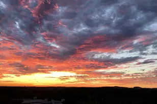 3309 Westhill, Austin, TX 78704 - Photo 5