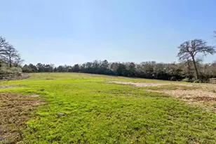 180 Bradley Ln, Rosanky, TX 78953 - Photo 23