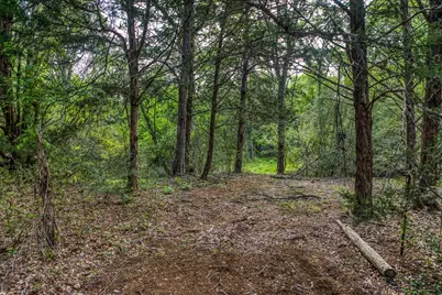 242 Cody Lane, Bastrop, TX 78602 - Photo 27