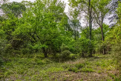 242 Cody Lane, Bastrop, TX 78602 - Photo 29