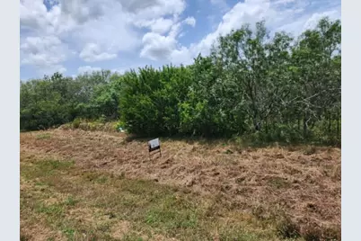 000 Fm 466 Street, Cost, TX 78614 - Photo 1
