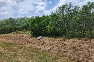000 Fm 466 St, Cost, TX 78614 - Photo 1