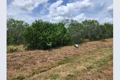 000 Fm 466 Street, Cost, TX 78614 - Photo 3