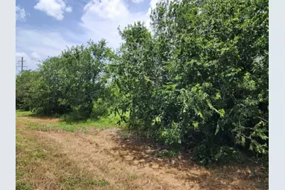 000 Fm 466 Street, Cost, TX 78614 - Photo 5