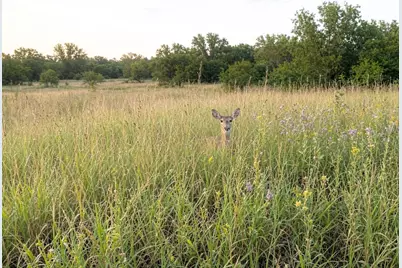 3275 Fm 956, Schulenburg, TX 78956 - Photo 13