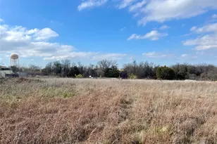 333 Spring Valley St, Hutto, TX 78634 - Photo 17