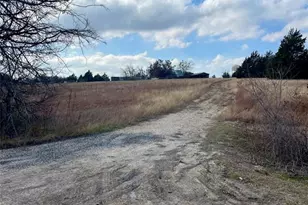 333 Spring Valley St, Hutto, TX 78634 - Photo 19