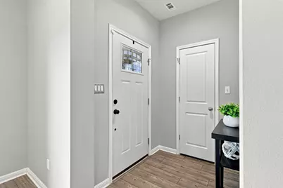 209 Arabian Colt Drive, Georgetown, TX 78626 - Photo 3