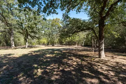 220 Clydesdale Drive, Dale, TX 78616 - Photo 19