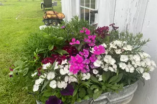 395 Centennial St, Carmine, TX 78932 - Photo 15