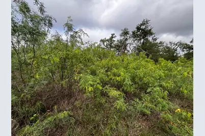 615 County Road 467, Thrall, TX 76578 - Photo 31