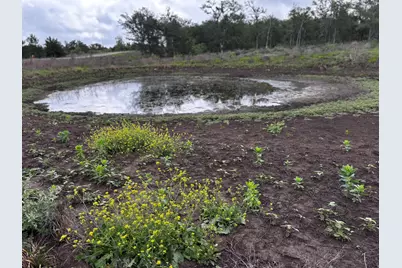 615 County Road 467, Thrall, TX 76578 - Photo 7