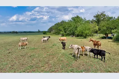 2700 County Road 245, Florence, TX 76527 - Photo 7