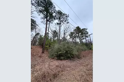[Address not provided], Bastrop, TX 78602 - Photo 1