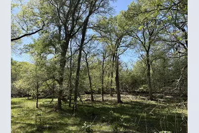 Tbd Anchor Ranch Loop, Flatonia, TX 78941 - Photo 21