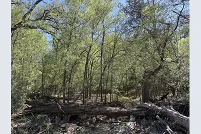 Tbd Anchor Ranch Loop, Flatonia, TX 78941 - Photo 13