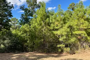 Lot 986 Kailua L Ln, Bastrop, TX 78602 - Photo 1